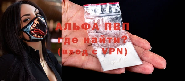 прущие грибы Нягань