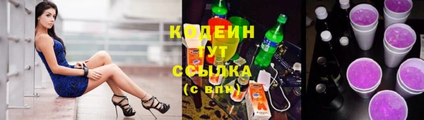 прущие грибы Нягань