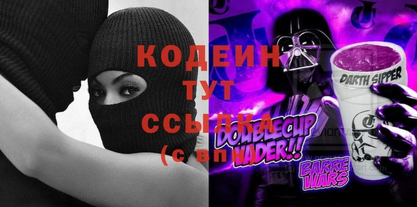 прущий лед Няндома