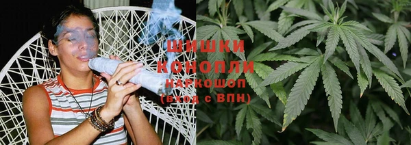 прущие грибы Нягань