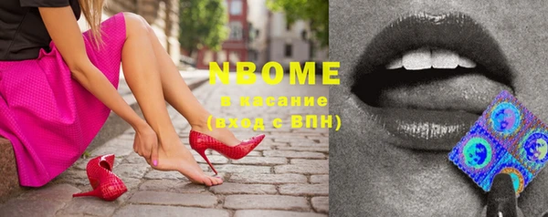 прущие грибы Нягань