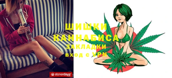 прущие грибы Нягань